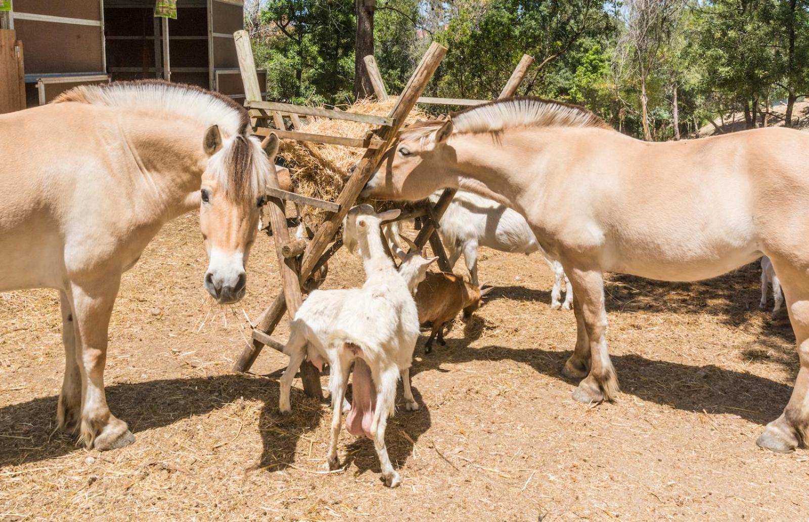 Quinta De Sao Pedro Villa Sobreda Екстериор снимка