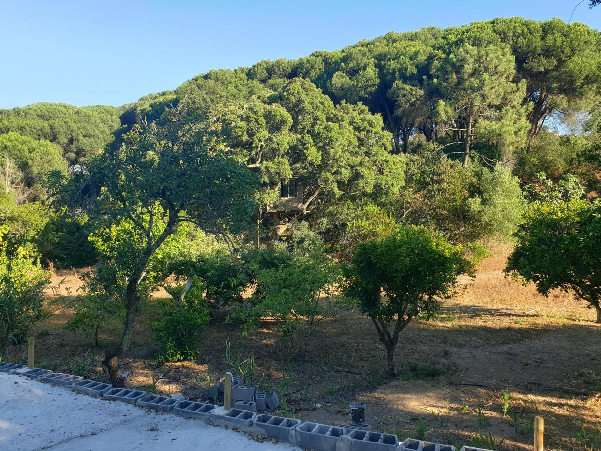 Quinta De Sao Pedro Villa Sobreda Екстериор снимка