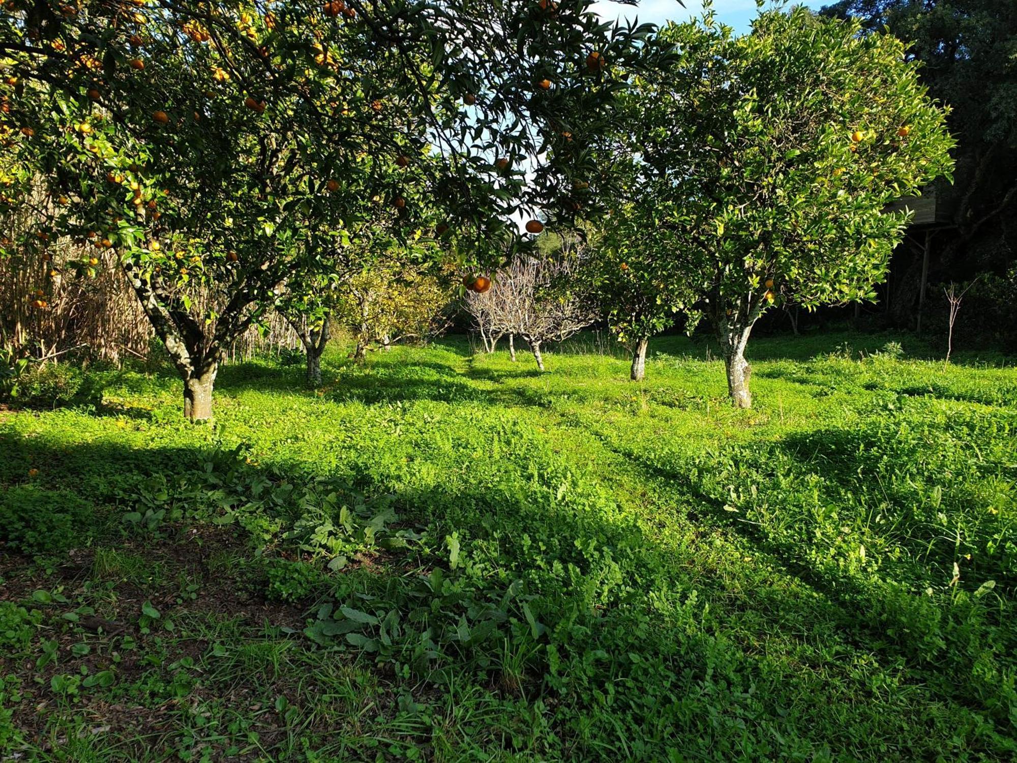Quinta De Sao Pedro Villa Sobreda Екстериор снимка